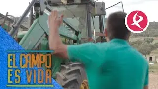 Discrepancias entre los Mellis  para el corral de sus ovejas | El campo es vida
