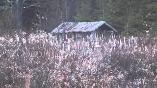 From Girls Play House To Hunting Camp
