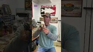 Picking the BEST Chatterbait Trailers!
