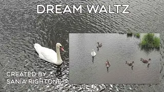 Красивая музыка про Вальс Мечты \ Sania Rightone - Dream Waltz