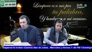 Reflexionando con la palabra
