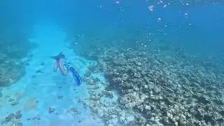 Diving in Adang Island from Koh Lipe