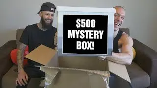 OPENING A $500 MYSTERY BOX | The Pun Guys