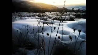 ONE10 Outdoors: Winter Fly Fishing Highlight. PNW-Western Montana