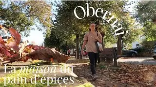 Obernai : je profite de la douceur de vivre alsacienne ! *Camille en Alsace 🥨*