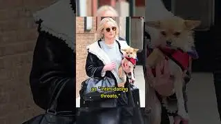 &lsquo;Awful&rsquo; Jennifer Lawrence slammed for rehoming dog who bit her child 'This Is Terrible' #actress