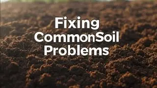 5 common Soil Problems and Easy Solution
