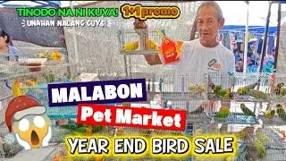 UNAHAN NALANG 😱 1+1 PROMO SA IBON 🦜🦜🦜?! | MALABON PET MARKET YEAR END BIRD SALE! December 27, 2025