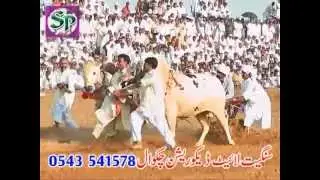 Jhamra Jalsa Padhrar (26-09-2011) Part - 4
