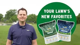 Simple Lawn Care Routine Using Core 24-6-12 & 12-8-12