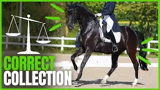 What Makes a Pace COLLECTED? From The Complete Online Dressage Course | How To Dressage