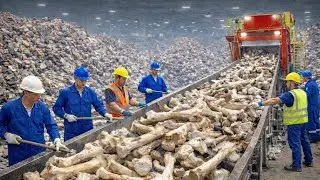 Inside a Luxury Skincare Factory | From Animal Waste to Premium Beauty Cream (Full Process)