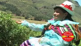 FLORCITA DE PISAC Y CONJUNTO SIWINA DE ACCHA / YUYASHANQUICHU