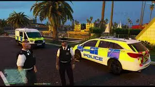FiveM Roleplay | Met Police - Mental Health Episode