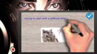 Cat Spraying No More Review and Discount - Should You Buy It?