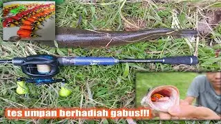 tes action jump frog. seklian tes angry bird dapat sambaran,.!!