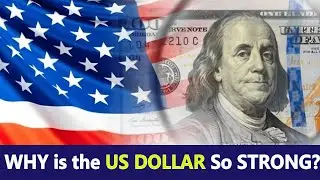 Why US Dollar is No 1 Currency in the World | Why is the US dollar So STRONG?