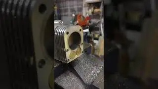 Homebuilt 15cc sidevalve opposed twin engine.