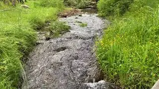 Wild Sky Wilderness