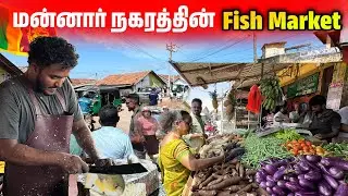 கண்ணைக் கவரும் தெருக் கடைகளும் அழகான மீன் பிடி வாழ்க்கை முறையும் / Srilanka Mannar Market
