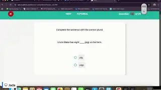 Grade 2 - English: Regular plural nouns