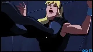 Young Justice Vs Black Beetle