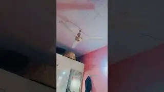 #bollywood #song #love #hindisong #bollywoodsongs #viral #bolleywoodsong #viralvideo #funny #simmba