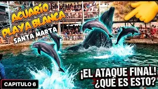 Show de DELFINES en SANTA MARTA| Bogota-Coveñas en Moto capitulo 6