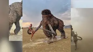 Montana-born artist creates 8,000 pound mammoth sculpture for Burning Man