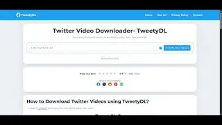 How to Use TweetyDL to Download Twitter Videos in Online?