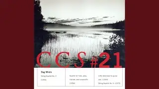 Quartet, Op. 31: IV. Tema con variazioni: Andante