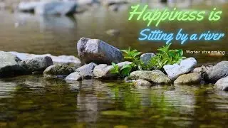 Begin Your Day with POSITIVE ENERGY &bull; RELAXING RIVER SOUNDS with Melodious PIANO MUSIC &bull; #relaxing
