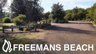 Freemans Beach Campground - Munmorah State Conservation Area, NSW