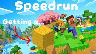 Can I Speedrun A Yellow Wool?