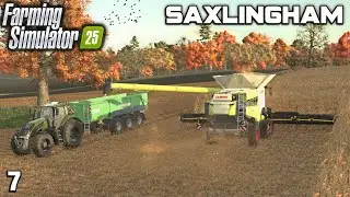 BIG CORN JOB AND SPOT SPRAYING FOR WEEDS Saxlingham FS25 Ep 7