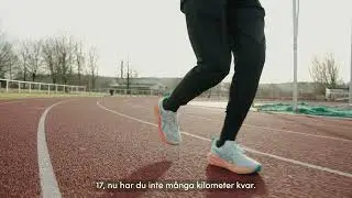 Elsa Jögi - Varvetlegend