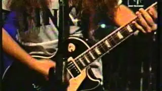 ANIMAL - El nuevo camino del hombre
