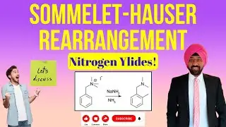 Sommelet-Hauser Rearrangement: Unleashing the Power of Nitrogen Ylides!