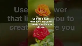 Law of Attraction - About Abundance and why this is the norm! #shorts