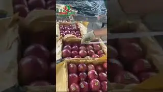 Apple Packaging Process ll #exporter #supplier #fruits