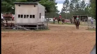 IBRA AT D BAR D RANCH - Open 4D - 7/30/22