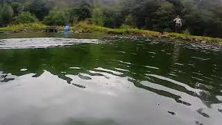Waters Eye View of Dry Fly Takes, Danebridge