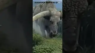 Amazon Jungle का सबसे खतरनाक विशाल भैंसा 😱 #AmazonJungle  #GiantBuffalo  #Wildlife  #Dangerous