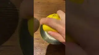 レモンを絞るぺっち23