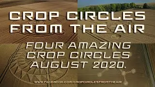 Four Amazing Crop Circles in August 2020 | Crop Circles From The Air