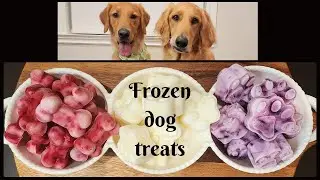 How to Make DIY Frozen Dog Treats🐶 | Healthy Dog Treats Recipe❤️😋