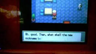 Pokemon Pearl: Where the Name rater/Name changer lives