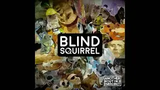 Another Routine Emergency - blind squirrel (full album)