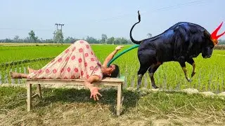 Very Special Trending Comedy Video 2025 😂 Amazing Funny Video Episode @12