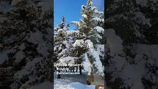 Alaska Winter Season